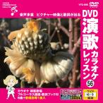 [ дополнение CL есть ] новый товар DVD энка караоке урок 56 / (DVD) VTG-056