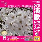 [ дополнение CL есть ] новый товар DVD энка караоке урок 58 / (DVD) VTG-058