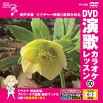 [ дополнение CL есть ] новый товар DVD энка караоке урок 60 / (DVD) VTG-060