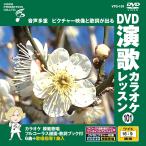[ дополнение CL есть ] новый товар DVD энка караоке урок 101 / (DVD) VTG-101