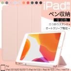 iPad11 A16 10.9 第10/9/8世代 ケース ペン収納 アイパッド 第7/6世代 カバー ペン ipad air M3 M2 Air5 Air4 iPadmini7 6 A17 Pro 11インチ