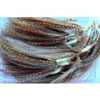 毛針　ムツ14号　金　50本　フラッシャー茶