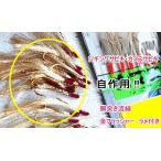 フラッシャー毛針100本+サビキ1枚 カマスサビキ16枚自作できます