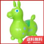 ＲＯＤＹ　ロディ　ライム 送料無料