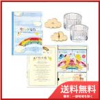 カメヤマ（ボールＯＫ）虹のかなた　メモリアルギフト　６点Ｓ 送料無料