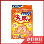 白元アース レンジでゆたぽん ゆたんぽタイプ 温かさ7時間 送料無料