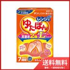 【送料無料】白元アース レンジでゆたぽん ゆたんぽタイプ Lサイズ 温かさ7時間