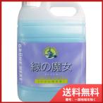 ミマスクリーンケア 緑の魔女　トイレ用洗剤　業務用　　5L 送料無料
