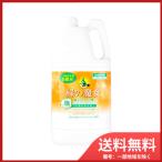 緑の魔女 泡タイプ バス 詰替用 2L 送料無料