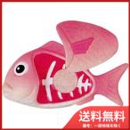 Yahoo! Yahoo!ショッピング(ヤフー ショッピング)ローヤル たい　メール便送料無料