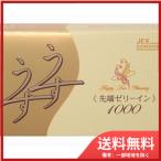 ジェクスゼリヤコート　うすうす　