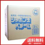 シャボン玉石けん 無添加シャボン玉スノール 洗濯用粉石けん 5Kg 送料無料