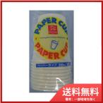 日本デキシーＤＮ紙コップ　２０５ＭＬ１０Ｐ 送料無料