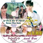 K-POP DVD BYEON WOO SEOK 出演 韓国バラエティー 4枚セット 日本語字幕あり ピョンウソク 韓国番組収録DVD KPOP DVD