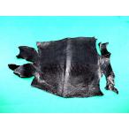 Lizard skin Black  Large