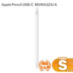  не использовался товар Apple Pencil USB-C MUWA3ZA/A б/у S разряд б/у Apple авторучка порог двери ApplePencil 9W