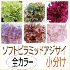 プリザーブドフラワー 材料 花材 ソフトピラミッドアジサイ ヘッド 全色 オール 小分け