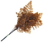 プリザーブド 花材 ルッティアジアンタム オレンジ 小分け 2本 羊歯 フロールエバー