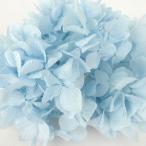 プリザーブドフラワー 花材 ソフトゆめ アジサイ ヘッド