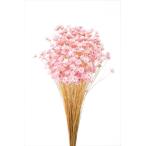 そらプリ ドライフラワー 花材 スターフラワー ブロッサム ブライダルピンク 小分け 大地農園 ピンク