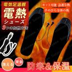電熱インソール 暖かい 中敷き 足温器 USB給電式 電熱中敷き ヒーターインソール ウォームインソール メンズ レディース 22〜27.5cm対応 ヒートインソール