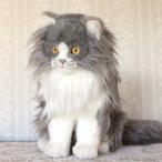 HANSA　ペルシャネコ　60