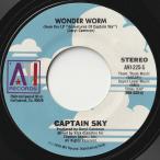 Captain Sky Wonder Worm / Saturday Night Move-Ease AVI US AVI-225-S 201711 SOUL FUNK ソウル ファンク レコード 7インチ 45