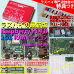 Raspberry Pi 4 model B (ラズベリーパイ4B) 2GB RAMバージョン Made in the UK (当店特製! 電子工作に便利な特典つき)