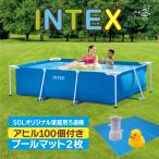 220cmX150cmX60cm INTEX インテックス プール 浄化 プールマット 正規品 アヒル おもちゃ 28270