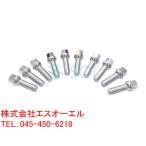 VW イオス パサート パサートCC ワーゲンCC シャラン トゥアレグ M14 P1.5 13R ホイールボルト 首下40mm 鏡面仕上げ 10本セット