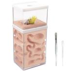 aleawol есть. гнездо наблюдение комплект есть разведение коробка .. гнездо наблюдение комплект . разведение камень . производства гнездо коробка 2 слой тип прозрачный . пластик есть. гнездо есть разведение комплект насекомое 