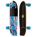 FLOW Surf Skates Surf Skateboard with Carving Truck, Multi-Color, 29 inches［並輸51］