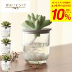 ショッピング多肉植物 mercyu リードディフューザー メルシーユー Nordic Collection MRU-91 / 1ヶ月 玄関 リビング 多肉植物 芳香 おしゃれ 誕生日プレゼント 女性