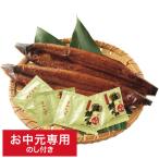 お中元 2025 うなぎ 送料無料 四万十うなぎ蒲焼 特大2尾セット メーカー直送 / LTDU 鰻 ウナギ 蒲焼き 海鮮ギフト グルメ 和食惣菜