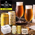母の日 2025 内祝い 酒類 ビールとおつまみ セット 軽井沢ビール2本とオサカーナ 家飲みセットミニ / 送料無料 プレゼント ギフト