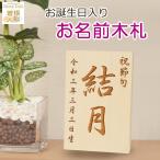 ショッピング雛人形 初正月・初節句 羽子板・破魔弓、 雛人形・五月人形の脇飾りにお名前と誕生日入り【木製・オリジナル名前札】K-No.2(8cm×12cm)