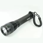  бесплатная доставка AQUATEC( aqua Tec ) 6686 LED-3200 aqua люмен LED фонарь черный дайвинг подводный свет водонепроницаемый свет 