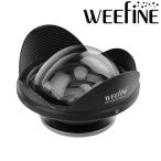 fisheye( рыба I ) 21742 WF широкий конверсионный объектив WFL17