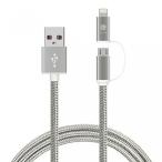 2 in 1 PC Dual USB Wall Charger and Cable