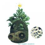 ロボット From Laputa: Castle in the palm garden in the Sky Robot Soldier (Kurisansesamu) (japan import) by Studio Ghibli