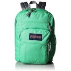 2 in 1 PC JanSport Big Student Backpack