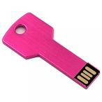 データストレージ Abahub USB Flash Drive 16G, Metal Key Shaped Memory Stick (Pink)