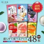 【見切り品セール★りんご味_賞味期限2025/7/31】おうちで凍らせて食べるアイス 選べる⇒ぶどう・りんご・しるこ・甘酒・白桃・みかん<業務用48本(4本×12袋)>