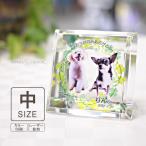  домашнее животное мемориальная табличка KP-16( средний ) фотография цвет предметы для домашнего буддийского алтаря домашнее животное memorial под рукой ..49 день радуга. . crystal стекло симпатичный Kirakira собака кошка ... длиннохвостый попугай 