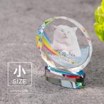  домашнее животное мемориальная табличка KP-34B( маленький ) фотография цвет предметы для домашнего буддийского алтаря домашнее животное memorial под рукой ..49 день радуга. . crystal стекло симпатичный Kirakira собака кошка ... длиннохвостый попугай 