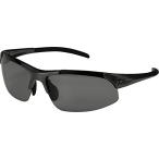 ダイワ(DAIWA) 釣り 偏光 サングラス 変色調光偏光グラス DN-4022H グレー(シルバー) 886130