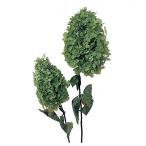  большой земля сельское хозяйство . консервированный цветок soft стойка mid гортензия head базилик зеленый DO001510-700