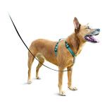 PetSafe 3 in 1 собака Harness средний собака .. обивка предотвращение регулировка простой выпадение нет долговечность . высокий вечер отражающий автомобиль среди безопасность зеленовато-голубой ( зеленый ) Msa