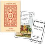 runo Ла Манш карта предсказание 36 листов runo Ла Манш красный ouru японский язык описание бумага есть 