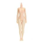 кукла korektibru Obi tsu завод 22cm Obi tsu корпус грудь размер M натуральный 22BD-F01N-M